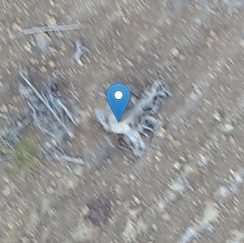 Screen_Shot_2018-04-05_at_5.13.39_PM.png